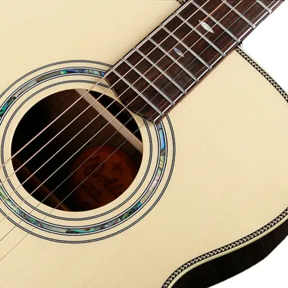 Stratocaster Musical instruments acoustic electric guitar