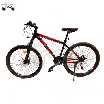 21 Speed Suspension Mountain Bike