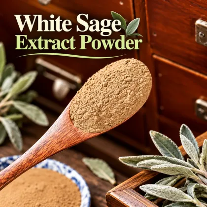 10:1 White Sage Extract Powder