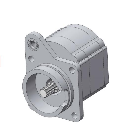 group 0 gear pump