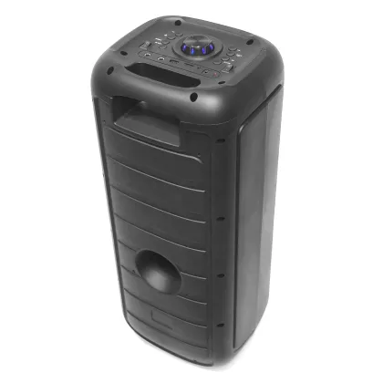 Big Outdoor DJ Speakers with Disco Lights for Karaoke