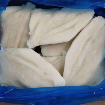 Frozen John Dory Fillets