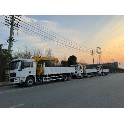 Shacman montado en un camión de transporte de grúas de 10t