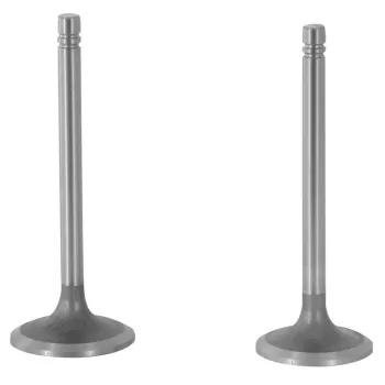 Quality inlet & exhaust valve for Caterpillar