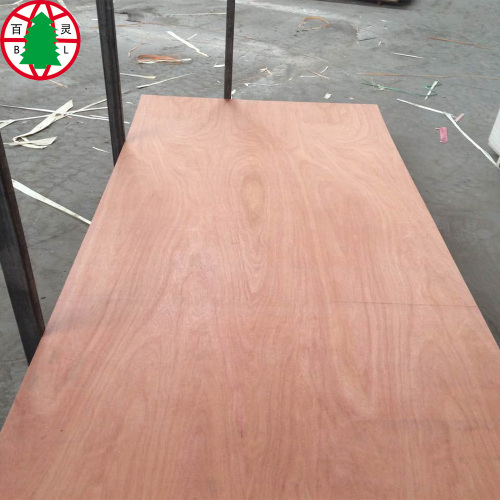 Commerial Plywood 18MM Poplar Core okume chapa bb / cc