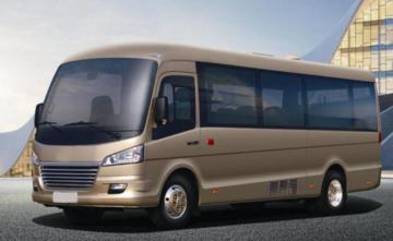 Pure electric business bus