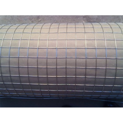 Electro Galvanized Welded Wire Mesh Welded Wire Mesh - Galvanized before Welding Factory