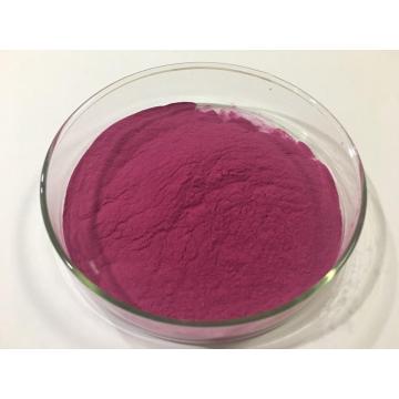 High Quality Viburnum Pitaya extract/Dragon fruit Extract