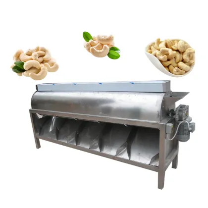 Fully Automatic Cashew Processing Machine: Raw Cashew Processor