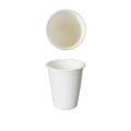 Disposable Biodegradable Sugarcane Bagasse Pulp Coffee Cups 8OZ 12OZ 16OZ with lid
