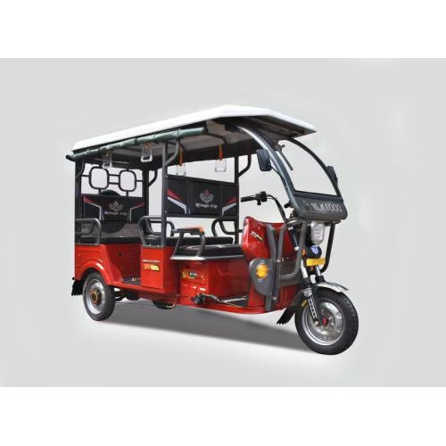 Three Wheels Electric Trike With Roof