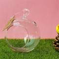 hand blown decor Spherical Heat-Retentive Air Plant Orbs hanging glass ball