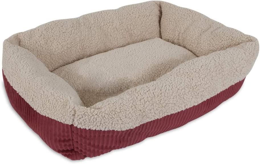 Dog Bed23 Jpg