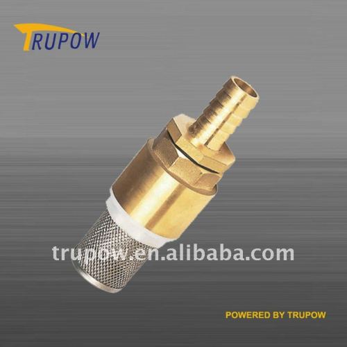 Filter Check Valve