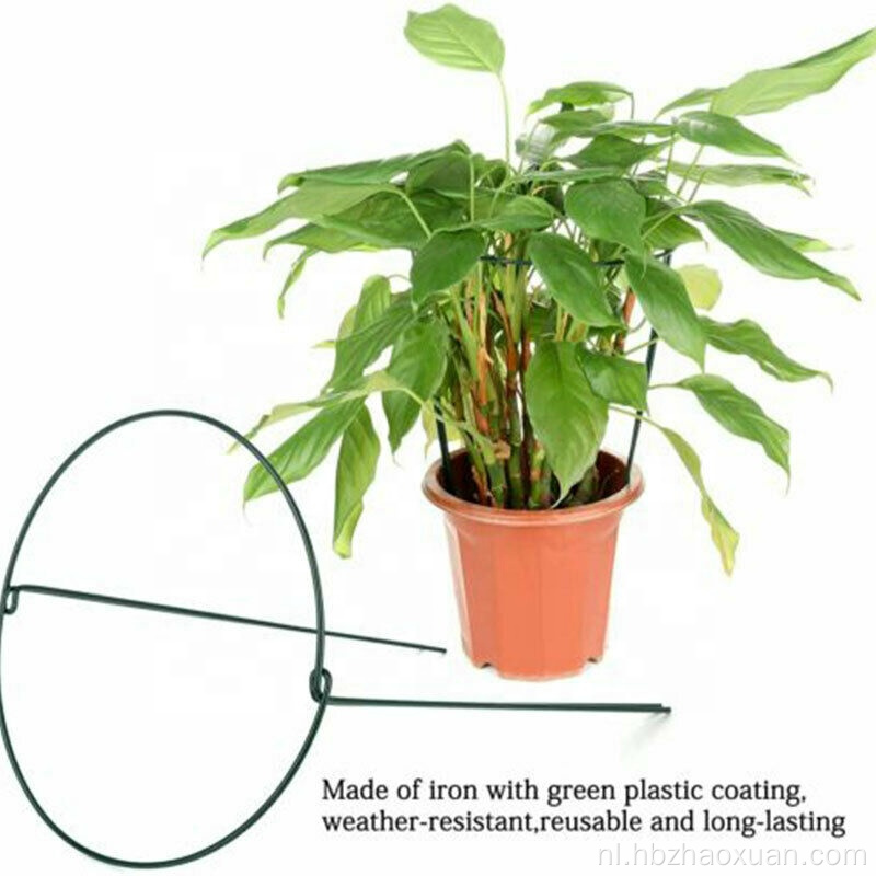 Tomatenkooi Garden Buiten Flower Climbing Plant Support