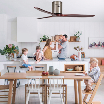 Classic and vintage AC ceiling fan without light