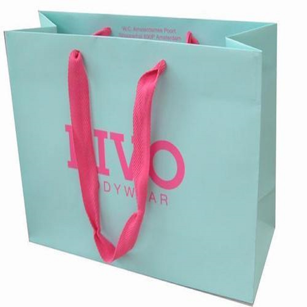 Logo Printed Paper Bags