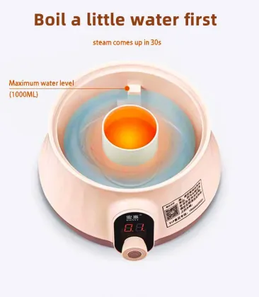 Electric Small Multi-Layer Food Steamer