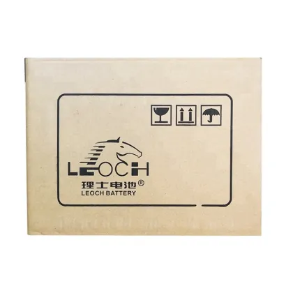 Leoch DJM12100S 12V 100Ah AGM Battery: Maintenance-Free Lead Acid Power Solution