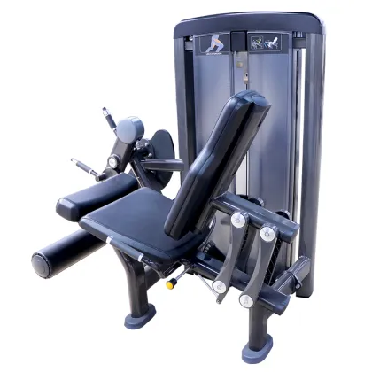 Leg Extension Machine Pin Load Selection Machines