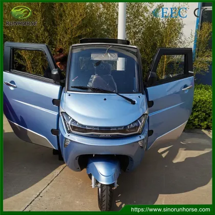 EEC Mini Adult Electric Small Car