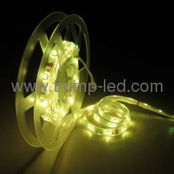 12V IP68 RGB SMD Waterproof 5050 LED Strip