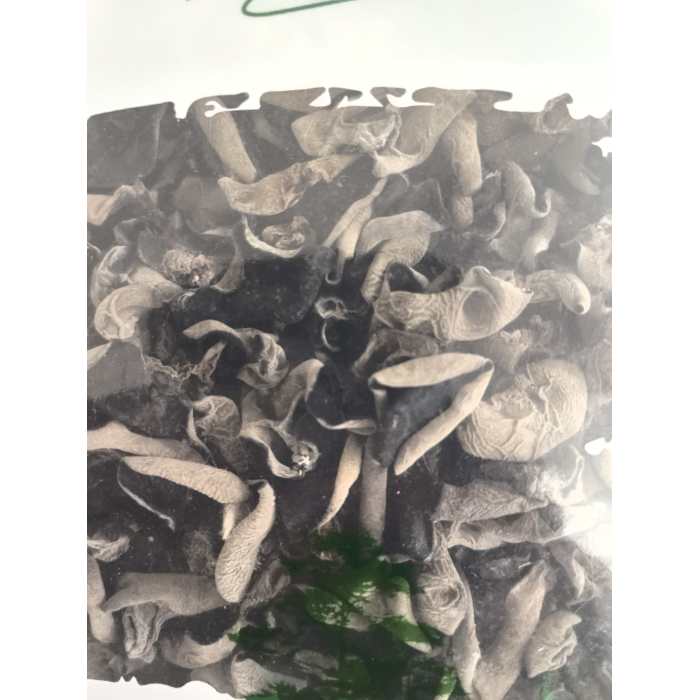 Fungo de orelha de madeira ensacada preta