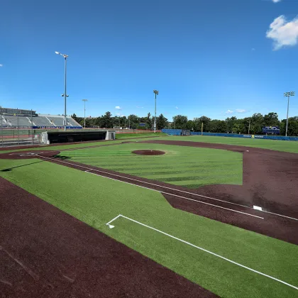 Customizable Baseball Field Artificial Grass