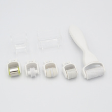 MNS 1.0mm 5 in 1 Microneedling Roller Kit