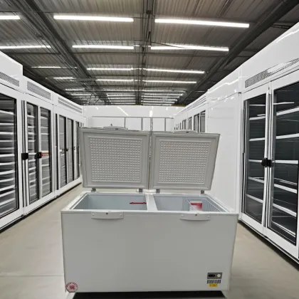 White Horizontal Small Household Freezer Deep Chest Freezer