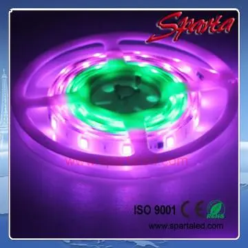 Hot selling Digital 5050 smd RGB Digital led strip light 12v