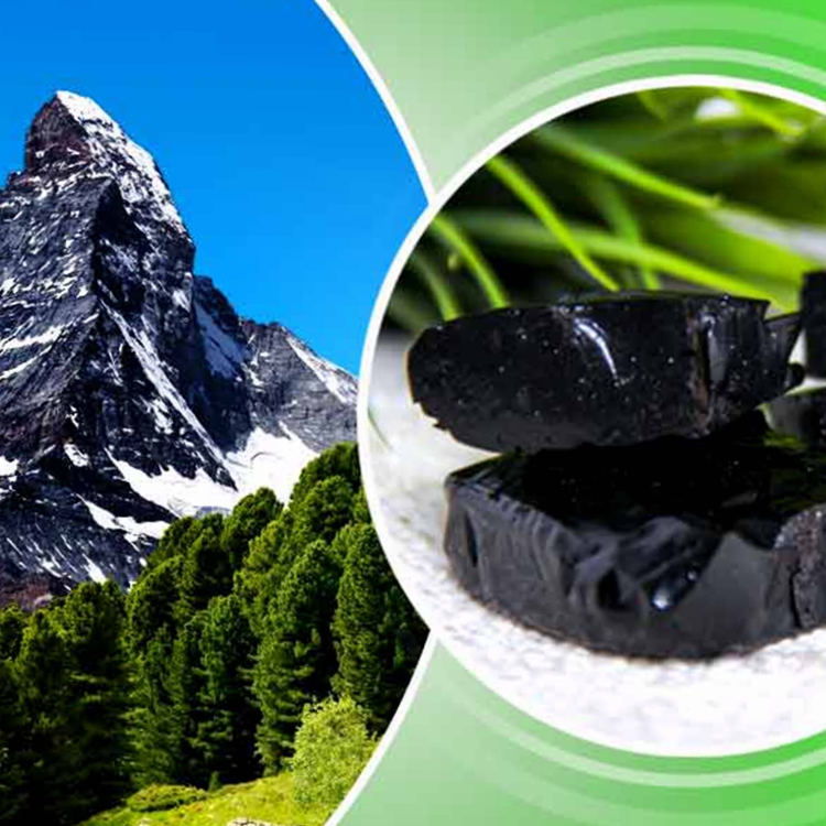 shilajit extract