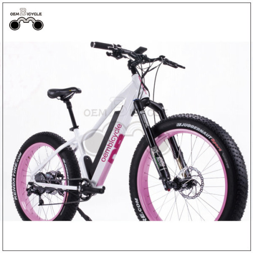 EBIKE COMPANY WHOLESALE PINK COLOR WOMEN FAT TIRE ELECTRIC BIKE