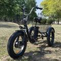 S2 Fat Tire Ηλεκτρικό τρίκυκλο