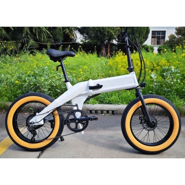 Fabrika Direct 20 \ "4.0 48V 750W TS Motorlu Elektrikli Bisiklet - Yeşil Enerji Yağ Lastiği Ebike Katlanır Fiyat