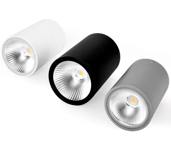 Waterproof IP65 Outdoor Surface Mounted Downlights: 7W to 24W Luminaire Collection