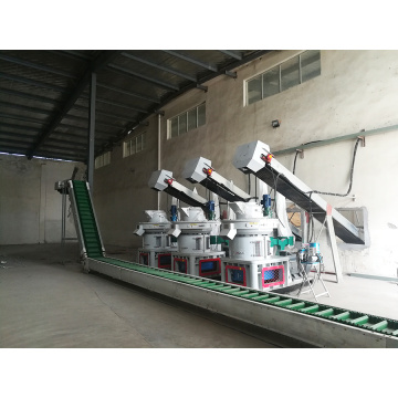 Vertical ring die sawdust powder pellet production line