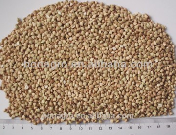 Chinese buckwheat kernels