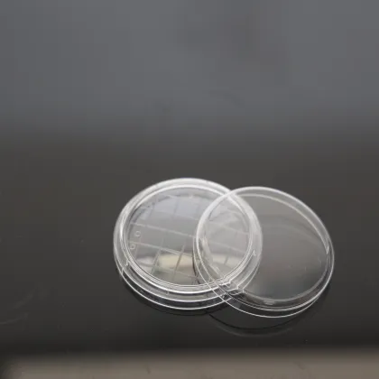 Plastic Petri Dish Petri Dish 150mm x 15mm
