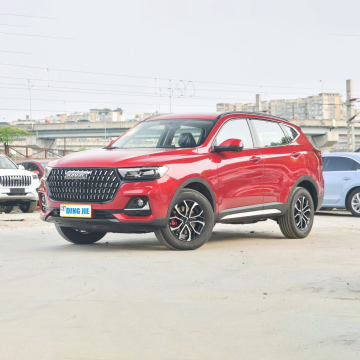 Haval H6 New Energy Car Search