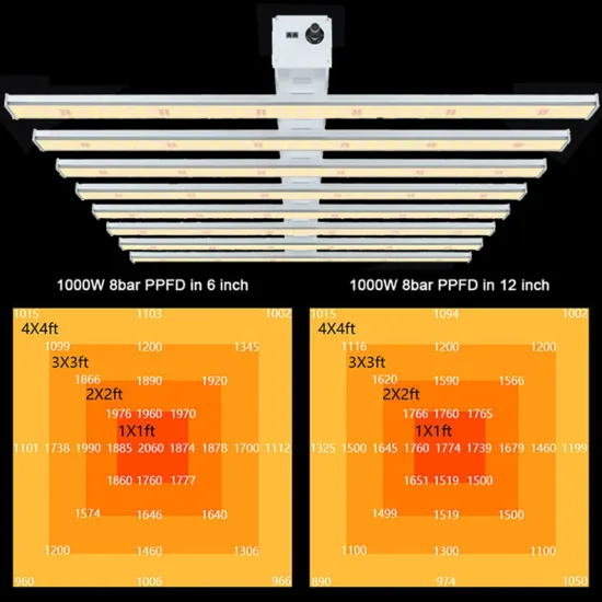2020 Top Plant Grow Lights Fow Winter