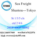 Shantou Port Sea Freight Shipping para Tóquio
