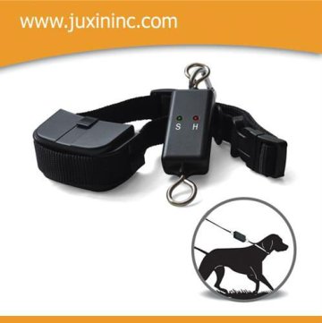 Leash-Walking Training Device