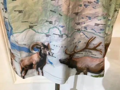 Rocky Mountain National Park Printed Men's Tee Shirts