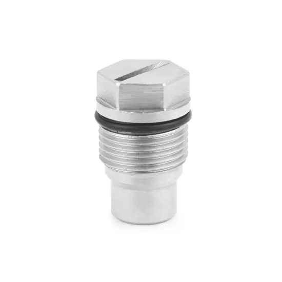 FS00316X1E0609: Car Fuel Rail Plug Valve with O-ring for Chevrolet, GMC 6.6L (2004.5-2010) and Dodge 6.7L (2007.5-2012)