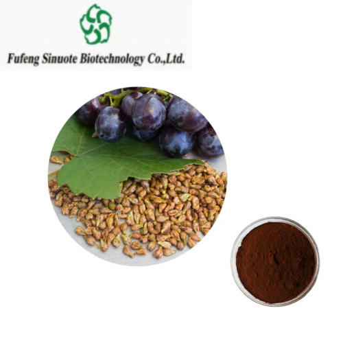 Premium Grape Seed Extract for Antioxidant Support and Wellness