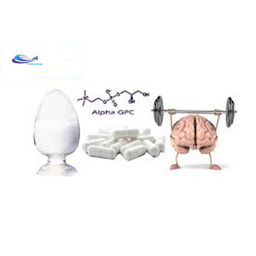 Alpha Gpc Vs Cdp Choline Smart Drugs Alpha GPC Choline Glycerophosphate Factory