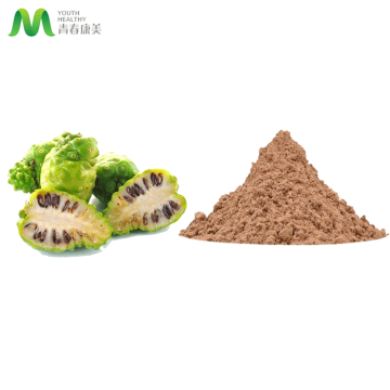 Natural Noni Fruit Powder Bulk Price