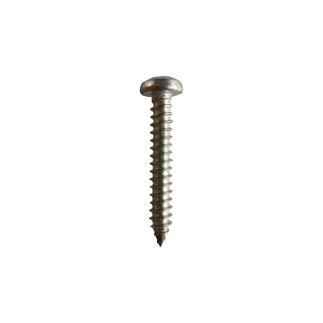 Custom China Manufacturer: 304 Stainless Steel Pan Head Self-Tapping Screws in M1 and M6 Sizes