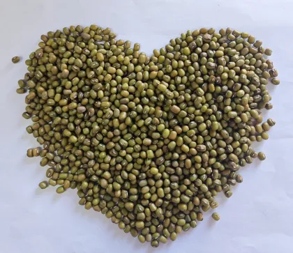 High-Quality Green and Natural Mung Beans - International Source
